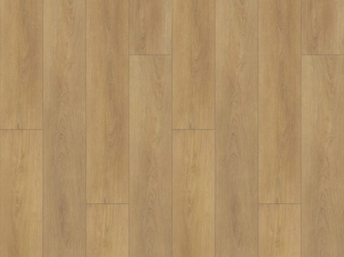Auckland Oak <br>(FLS-018)