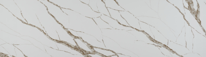 Coast Champagne <br>(PC-059)