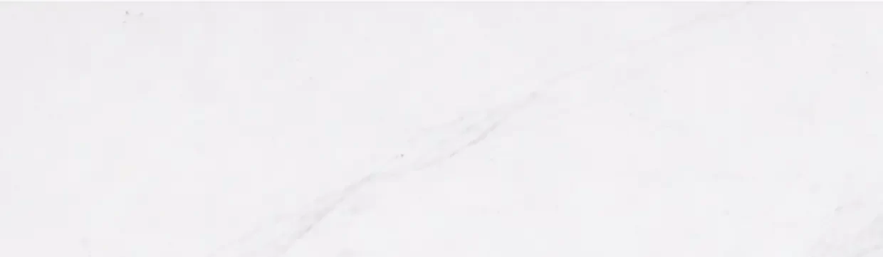 Eternal White<br>(BG-1013) 1 Eternal White<br>(BG-1013)